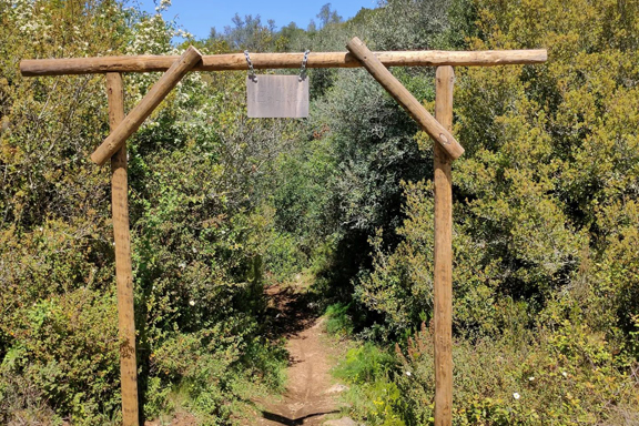 Trail Running