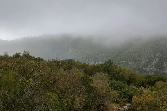 Trail Running