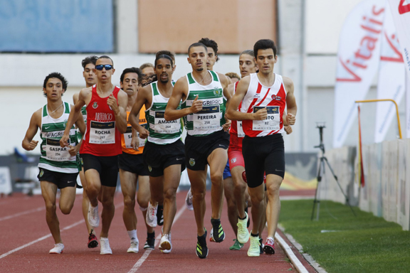 sporting