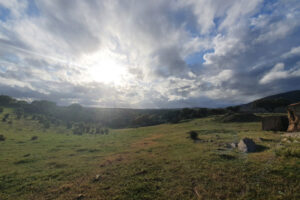 Trail de Ficalho