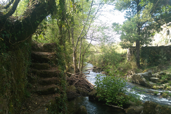 Trail do Marco