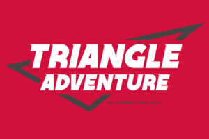 Triangle Adventure