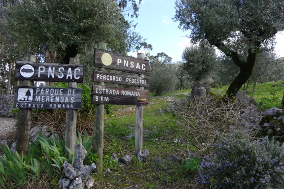 Alcanena Trail