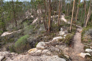 trail