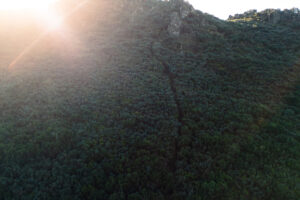 Trail do Marco