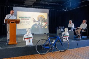 guarda