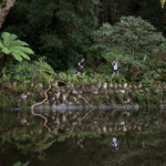 SINTRA, UMA SERRA, DOIS DESAFIOS