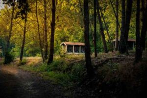 Viseu trail