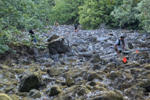Aquae Brunheiro